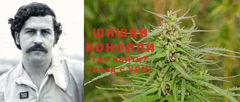 дарнет шоп  Орлов  МАРИХУАНА LSD WEED 